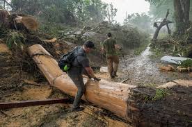 ÚLTIMA HORA: El número de muertos en Texas se acerca a 80 después de que  las autoridades del condado de Kerr anunciaran 68 fallecidos en la zona de Hill  Country tras las inundaciones.