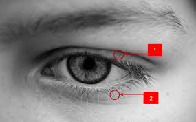 Mata berkedip menurut profesor alan hedge dari cornell berikut ini beberapa penyebab mata anak sering berkedip seperti dikutip dari livestrong adalah: 99 Arti Kedutan Kanan Terus Menerus Menurut Islam Dan Primbon Mitos Kedutan Alis