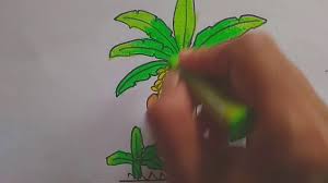 Check spelling or type a new query. Cara Menggambar Pohon Pisang Youtube