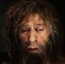 Israel: Skull shows Neanderthals and modern humans 'met and mated' 55,000  years ago