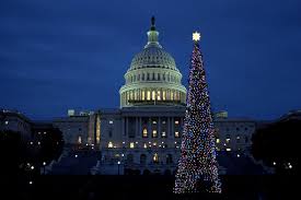 Jump to navigation jump to search. Dc Christmas On Wheels Segway Tour 2021 Washington Dc