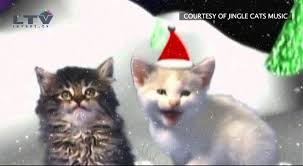 It really all depends on you. Jingle Cats Cats Meowing Christmas Song Silent Night Youtube