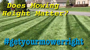Check spelling or type a new query. How High Do I Cut My Grass Youtube