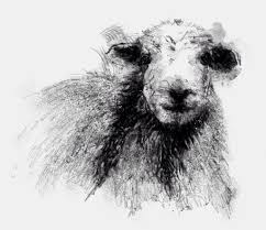 Herdwick Sheep Seanbriggs Sheep Drawing Sheep Paintings Sheep Art