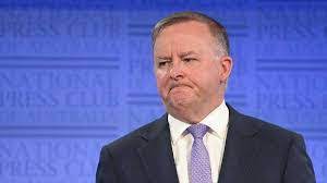 All content authorised by anthony albanese, alp, canberra. Anthony Albanese Admitted In Hospital After Meeting With A Car Accident The Australian Business Journal The Abj