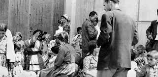 Que la france a abandonnés quelques mois après, trois fils de harkis décidèrent de faire prendre conscience aux harkis du camp de bias qu'ils sont les oubliés de l'histoire ! Fmgacmt Harkis Les Anciens Harkis Des Rapatries Comme Les Autres