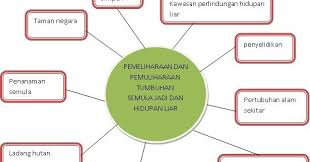 Mendapat sumber air yang bersih dan tidak tercemar. Bmsevaspm Pemeliharaan Dan Pemuliharaan Hidupan Liar