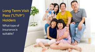 Visit the embassy of malaysia website for the most current visa information. Long Term Visit Pass Holders What Type Of Insurance Is Suitable Gen Financial Advisory