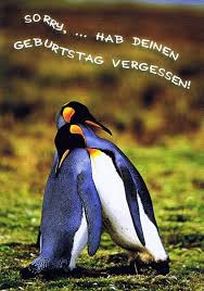 Ist es im frühling oder im winter? Postkarte Piguine Sorry Hab Deinen Geburtstag Vergessen Kartenwichtel De