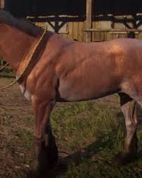 Join millions of people using oodle to find horses for sale, horse listings, and other animals for sale. Mustang Red Dead Wiki Fandom