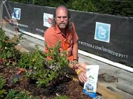 Pin By The Home Depot On Landscaping Ideas Blueberry Plant Growing Raspberries Blueberry Bushes