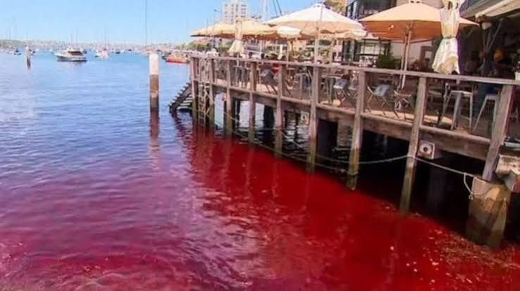 Watch as waters near global landmark mysteriously turn BLOOD RED - and  officials don't know what's caused it