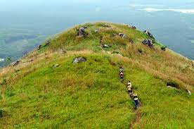 Temuan di broga, semenyih selangor temuan di kampung paya lebar, sungai lui hulu langat, selangor temuan di rps bukit cheeding, kuala langat, selangor temuan di rps kuala kubu bharu , selangor temuan. Broga Wikipedia