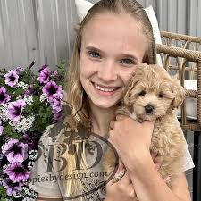 Karen Staton (tennispoodle)