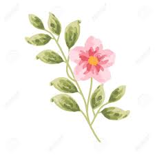 Free psd mockups templates for magazine, book, stationery, apparel, device, mobile, editorial, packaging, business cards and more. Pink Flowers And Green Leaf Clip Art For Wedding Invitation Women S Day Greeting Card Floral Tags Flower Shop Product Labels Flower Floral Icon Or Women S Day Poster Element Royalty Free Cliparts