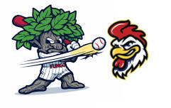 WF FUNGO vs Chatham County Yard Birds