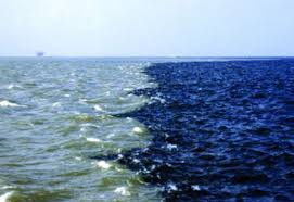 Where The Mississippi River Meets The Gulf Of Mexico Gulf Of Alaska Two Oceans Meet Gulf Of Mexico