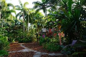 The Little Farm House Miami Florida Miami Gardens Organic Gardening Farm