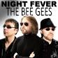 Night Fever - Bee Gees Tribute event image