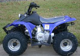 Manuals and user guides for kazuma falcon 250. Kazuma Atv Specs Quads Atv S In South Africa Quad Bikes And Atv S In South Africa Quad Specs Kazuma Atv Specifications And Atv Pictures For Kazuma And Others