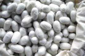 Make sure this fits by entering your model number.; Organic Silk Alkena