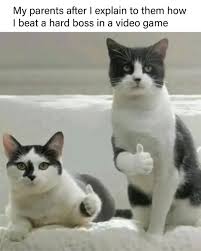 Great Job Kid Memes Cute Animals With Funny Captions Funny Dog Captions Funny Animal Images