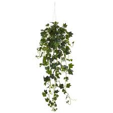 We did not find results for: English Ivy Hanging Basket Artificial Plant In 2021 Ivy Plant Indoor Hanging Plants Ivy Plants