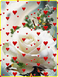 Https Encrypted Tbn0 Gstatic Com Images Q Tbn 3aand9gcrbojebomu7majb4w 1xlqiz849yzmbu9rmug Usqp Cau