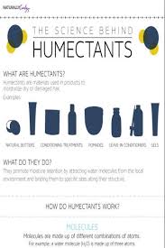 Humidity Humectants And The Dew Point Dry Hair Care Humidity Hair Diy Hair Treatment
