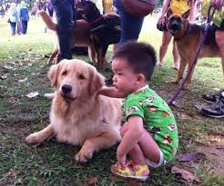 He quivers when he's touched on his flanks and back. Muslims Touch Dogs For First Time At Malaysian Event