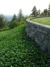 84 Ideen Fur Stutzmauer Im Garten Bauen Hangsicherung Und Blickfang Rasen Alternative Landschaftsdesign Steinmauer Garten