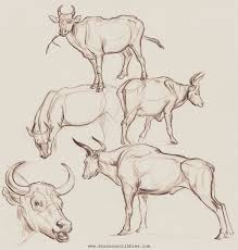 Week 4 Q A Notes We Discussed How To Break Down Animal Sketches Cow Drawing Animal Drawings
