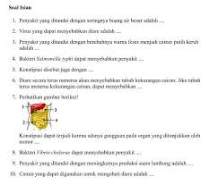 Gastritis yaitu peradangan pada selaput lendir pada dinding lambung. Penyakit Maag Adalah Brainly
