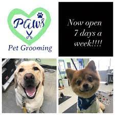 Your dog shows you unconditional affection 24 hours a day; Paws Pet Grooming 48 Photos 42 Reviews Pet Groomers 3402 S Dale Mabry Hwy Tampa Fl United States Phone Number