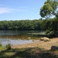 Messerschmidt pond (views from east side of pond; Messerschmidt Pond 390 Stevenstown Rd