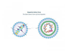 Evolution of hepatitis delta virus rna during chronic infection. Peginterferon Lambda Combination Therapy For The Treatment Of Chronic Hepatitis Delta Virus Hdv Launched By Lambda Industry Global News24