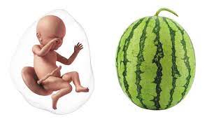 40 weeks pregnant no contractions but a lot of pressure. 40 Weeks Pregnant Symptoms Tips Baby Development