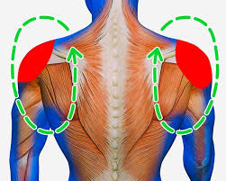 Pin On Stretching