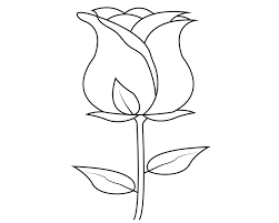 Another one of our floral coloring pages is a simple shape of a large flower close up. Simple Rose Flower Coloring Pages Novocom Top