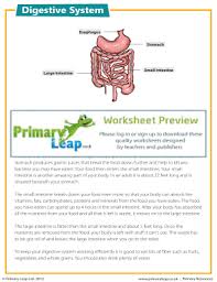 We did not find results for: Digestive System Reading Comprehension Pdf Fill Online Printable Fillable Blank Pdffiller