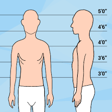 Male feet were wider and higher for the same fl. Short Thin Male Body Type How To Dress When You Re Small