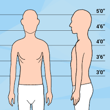 The calf weighed about 3.5 pounds and stood a little more than 1 foot. Short Thin Male Body Type How To Dress When You Re Small