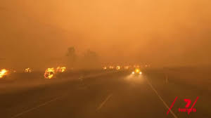 Image result for Yellow 1980 Queensland State Emergency