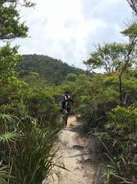Chemerong Berembun Langsir Cbl Paka Terengganu Province Malaysia Country Roads Terengganu Natural Landmarks