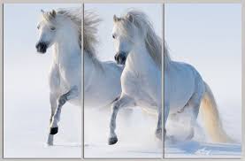 Home interior 3 horse picture. 3 Panel Split White Horse Canvas Print Riding Horses In Winter For Home Office Wall Decor And Interior Decor Great For Holiday Gifts White Horses Horses Horses Wallpaper