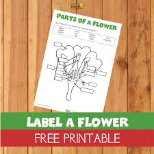 Please visit our other websites: Label A Flower Free Printable Kiddycharts Printables