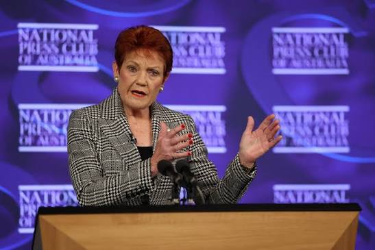 Pauline Hanson says she has growing support in Canberra. But does it pass the pub test? - ABC News