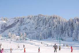 Le collet d'allevard ( dauphiné 1450 m ). Le Collet D Allevard Avis Station Ski Domaine Meteo Sejour