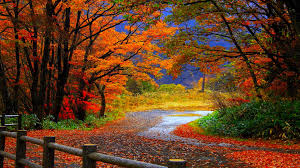 Image result for fall pictures