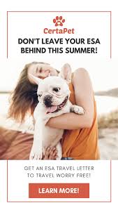 Traveling With An Esa 101 Airport Pet Relief Areas And Dog Potty Areas Emotional Support Animal Dog Potty Area Dog Training Camp